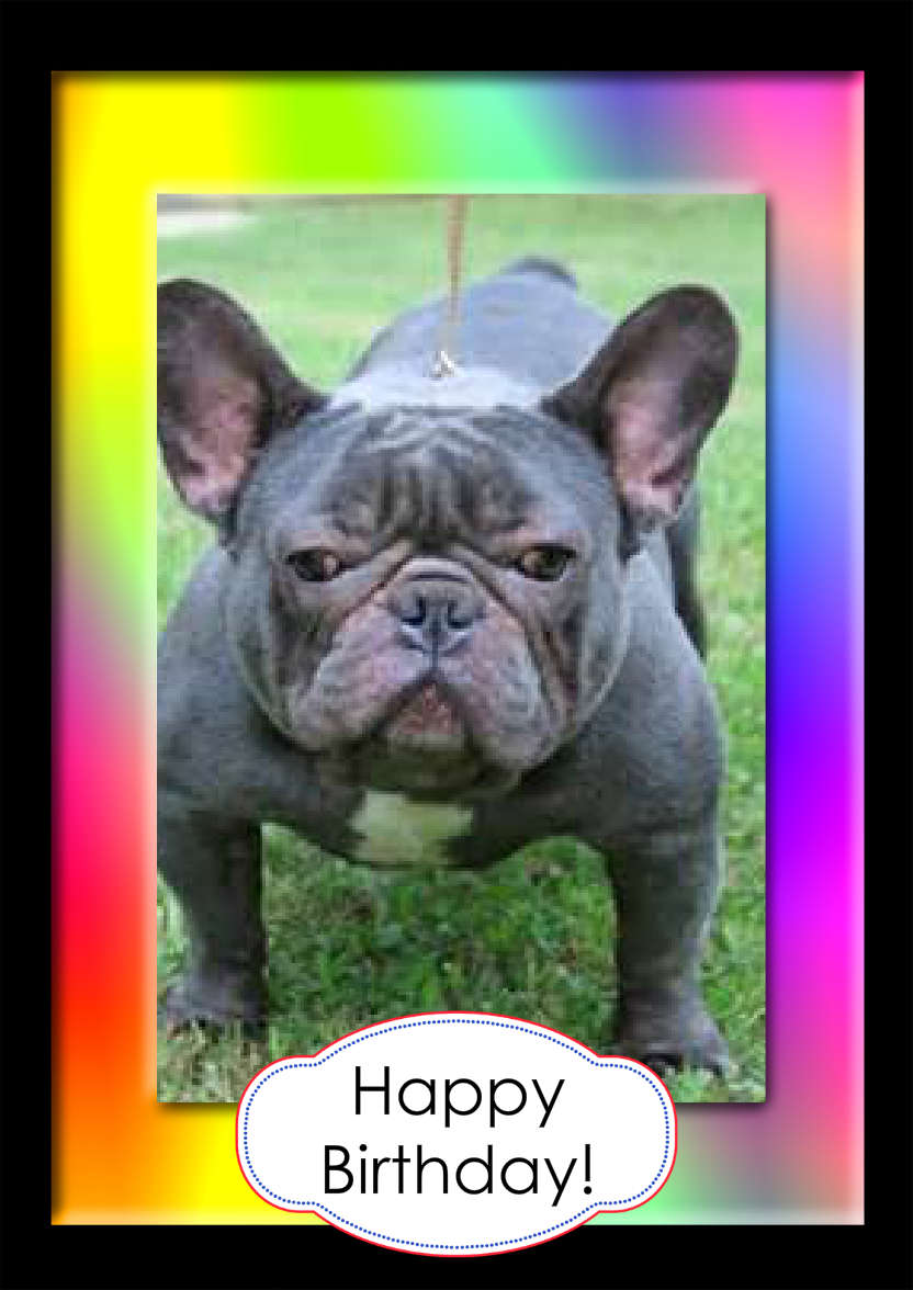 Bright Rainbow Frame Aperture Card - card made with Crafty Bob's Card Creator