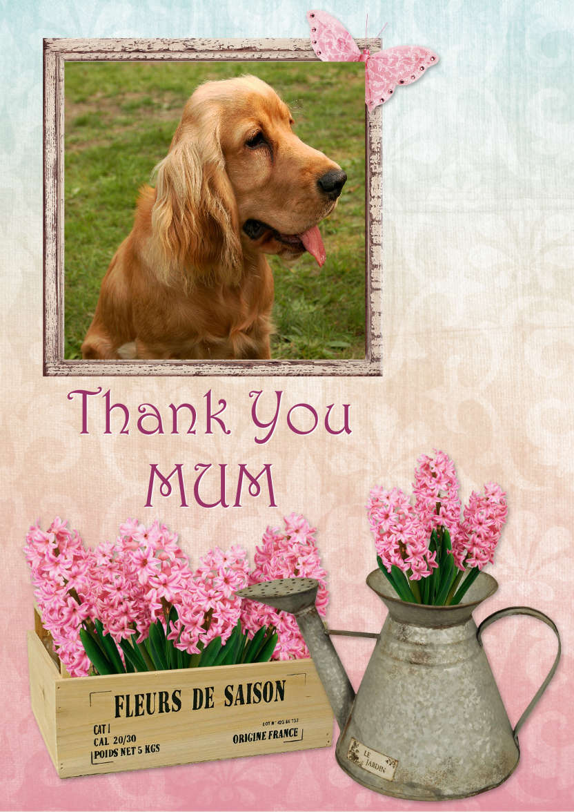 A Little Bit Shabby - card made with Crafty Bob's Card Creator
