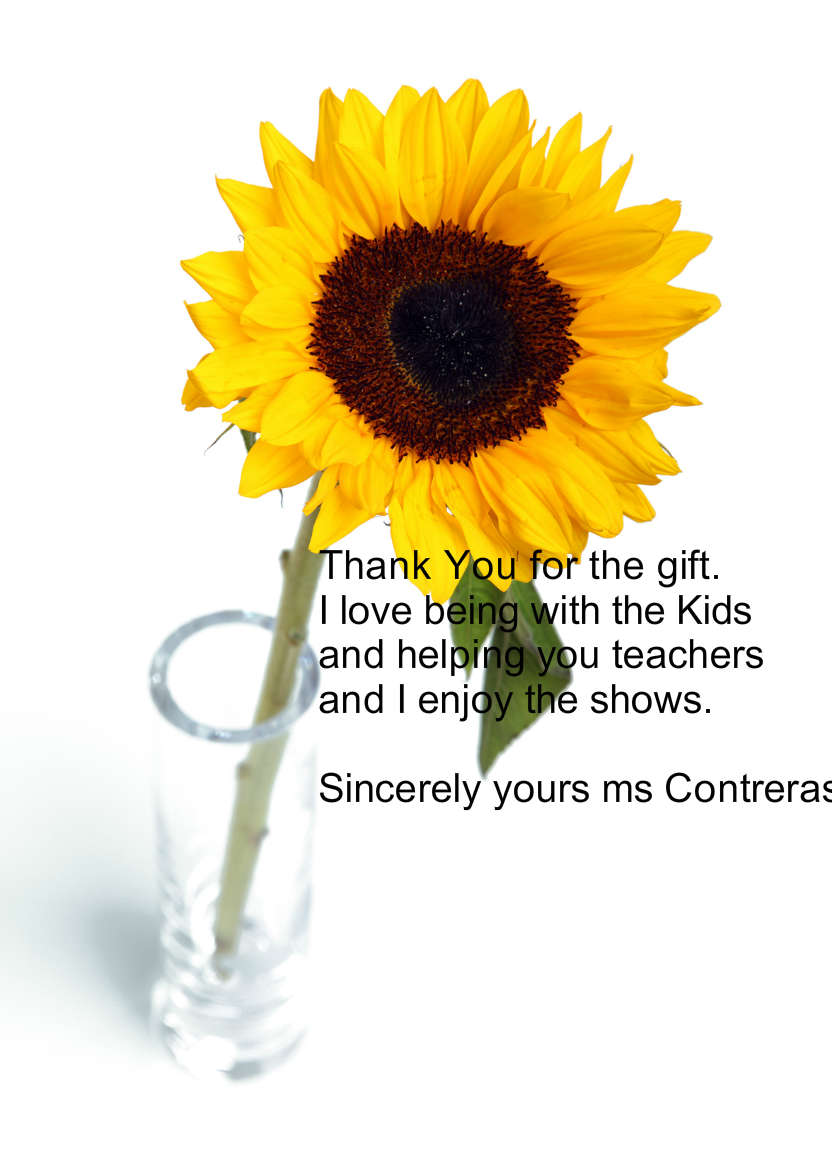 Solitary Sunflower Card Front - card made with Crafty Bob's Card Creator