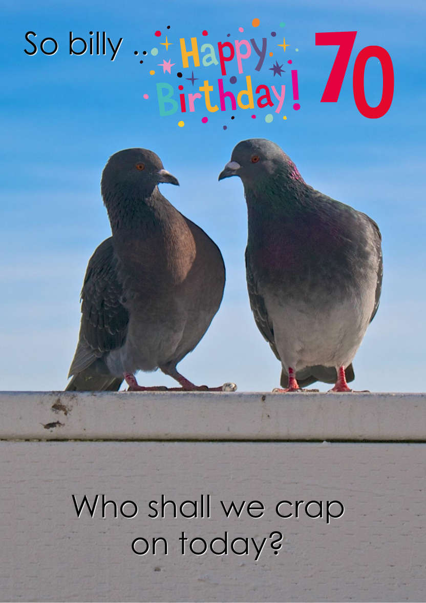 Pigeon Plans Humorous Card Front - card made with Crafty Bob's Card Creator