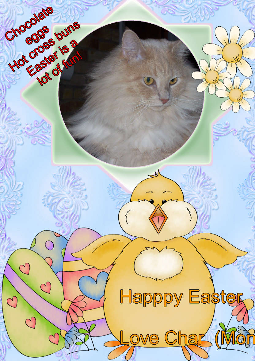 Easter Chicky - card made with Crafty Bob's Card Creator