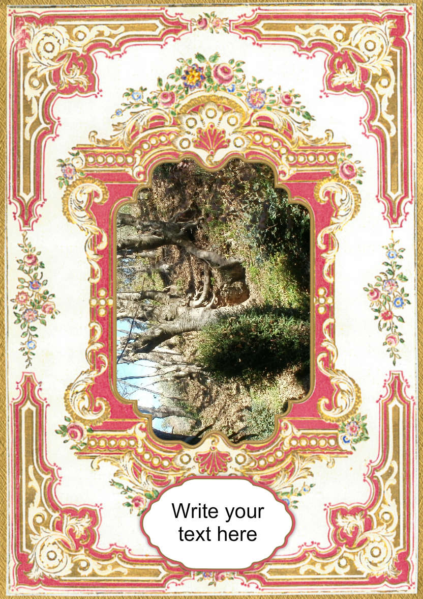 Pink & Gold Floral Frame - card made with Crafty Bob's Card Creator