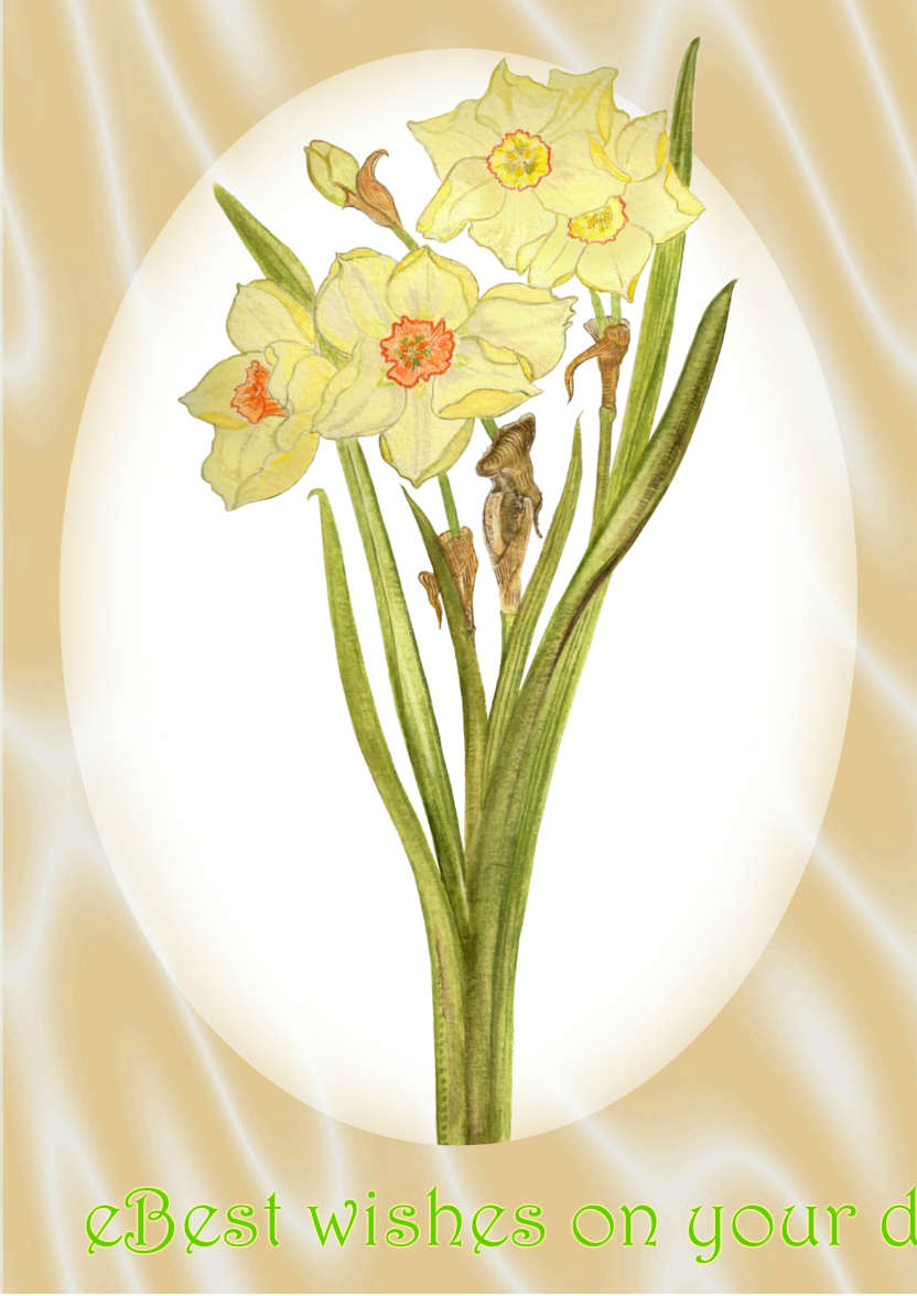 Pale Yellow Daffodil and Peach Satin - card made with Crafty Bob's Card Creator