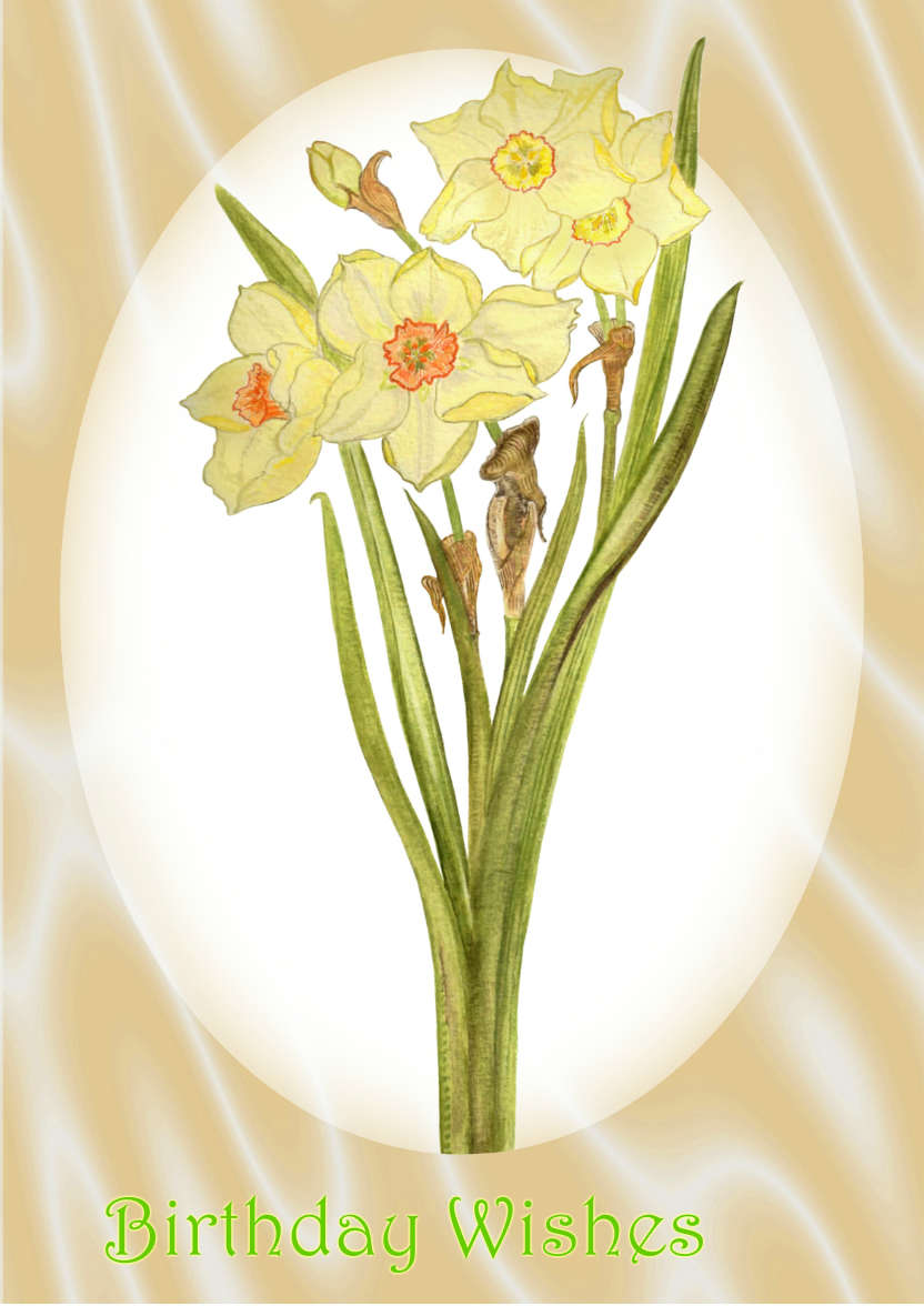 Pale Yellow Daffodil and Peach Satin - card made with Crafty Bob's Card Creator