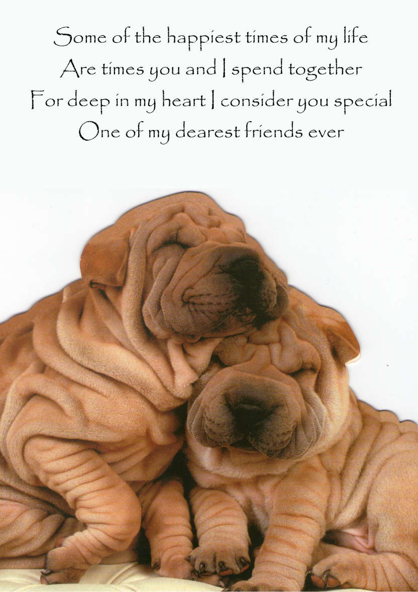 Chinese Shar-pei Cuddle Card - card made with Crafty Bob's Card Creator