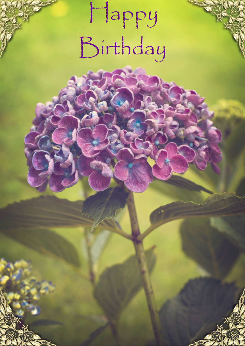 Lilac Hydrangea - card made with Crafty Bob's Card Creator