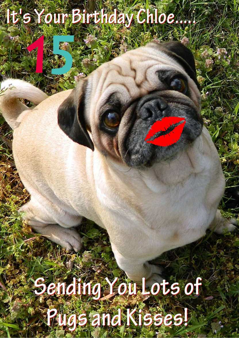 Pugs and Kisses Cute Card Front - card made with Crafty Bob's Card Creator