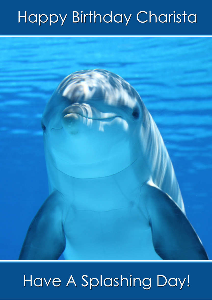 Delightful Dolphin - card made with Crafty Bob's Card Creator