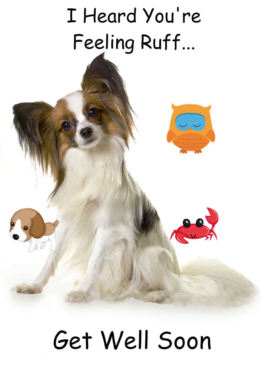 Papillon Dog Card - card made with Crafty Bob's Card Creator