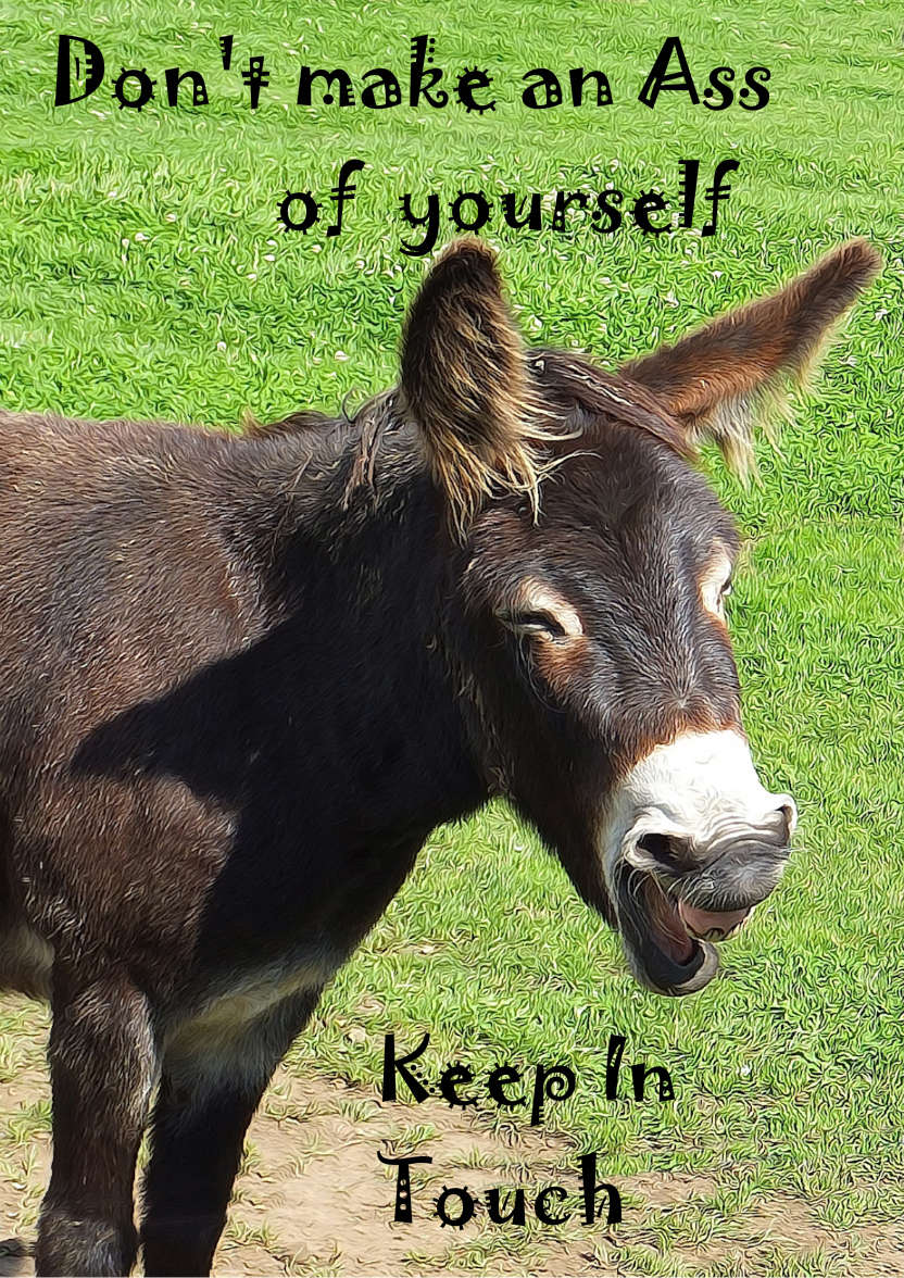 Donkey Laughing Humour Card - card made with Crafty Bob's Card Creator