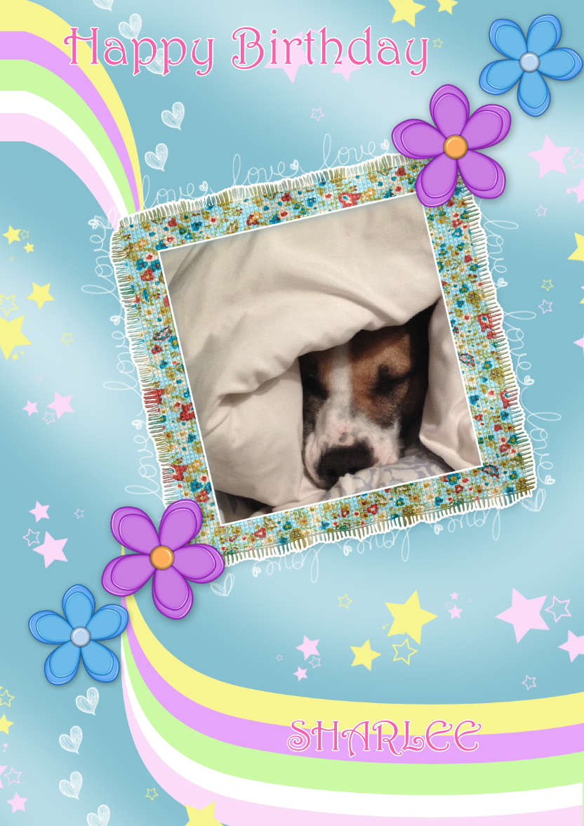 Pretty Flower Frame - card made with Crafty Bob's Card Creator