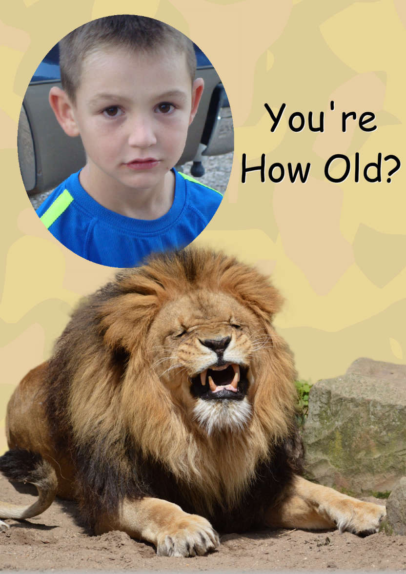 Laughing Lion Photo Card - card made with Crafty Bob's Card Creator