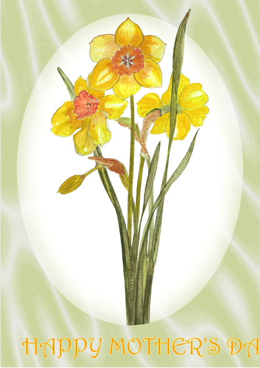Bright Yellow Daffodil and Green Satin - card made with Crafty Bob's Card Creator