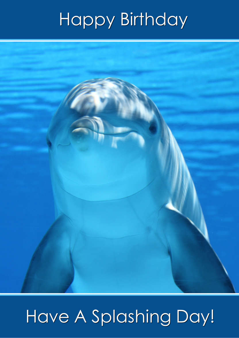 Delightful Dolphin - card made with Crafty Bob's Card Creator