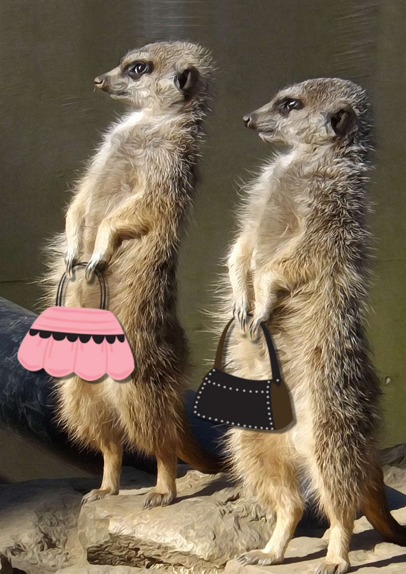 Meerkats with Handbags - card made with Crafty Bob's Card Creator