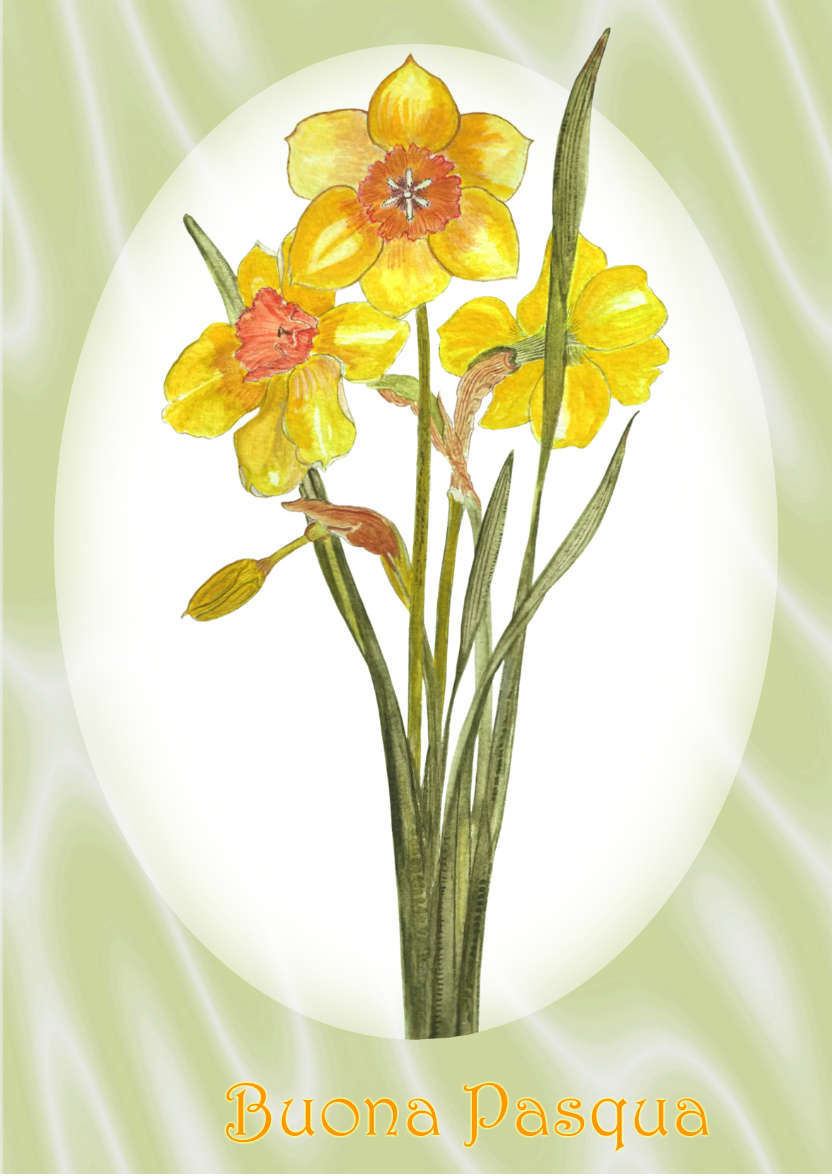 Bright Yellow Daffodil and Green Satin - card made with Crafty Bob's Card Creator