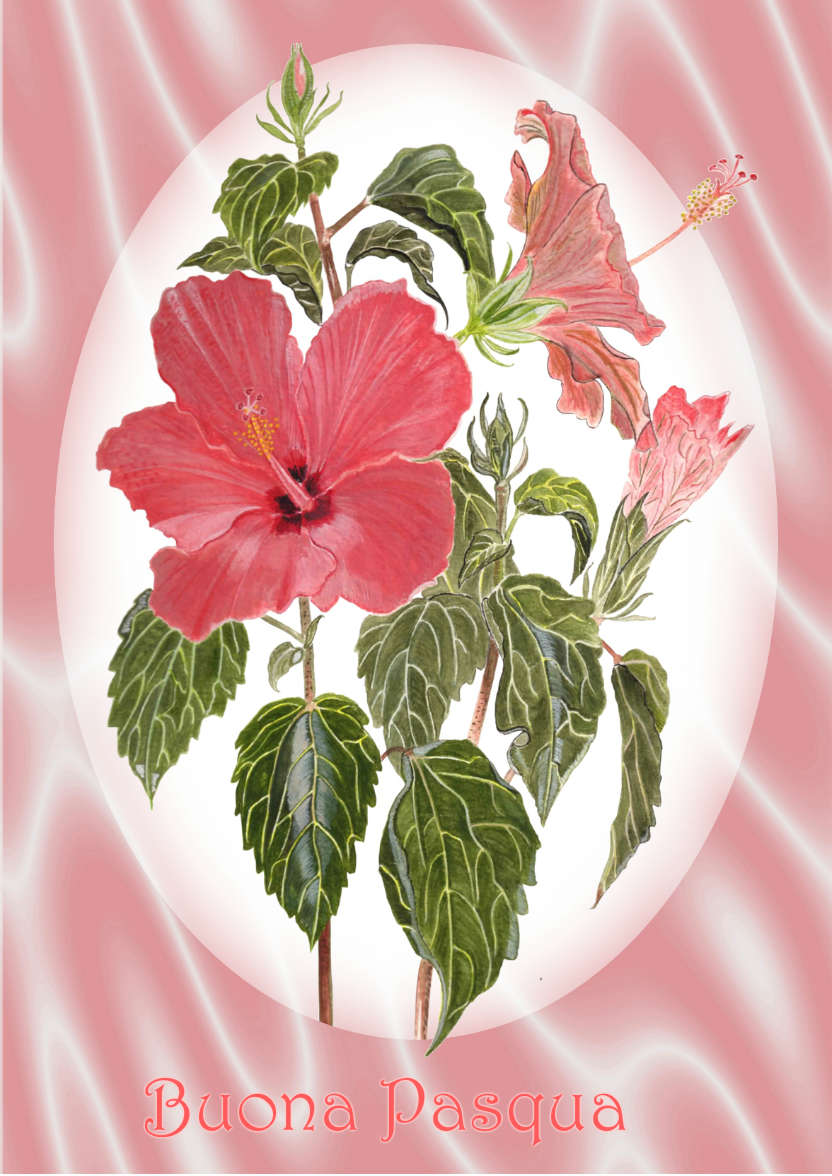Pink Hibiscus and Satin - card made with Crafty Bob's Card Creator