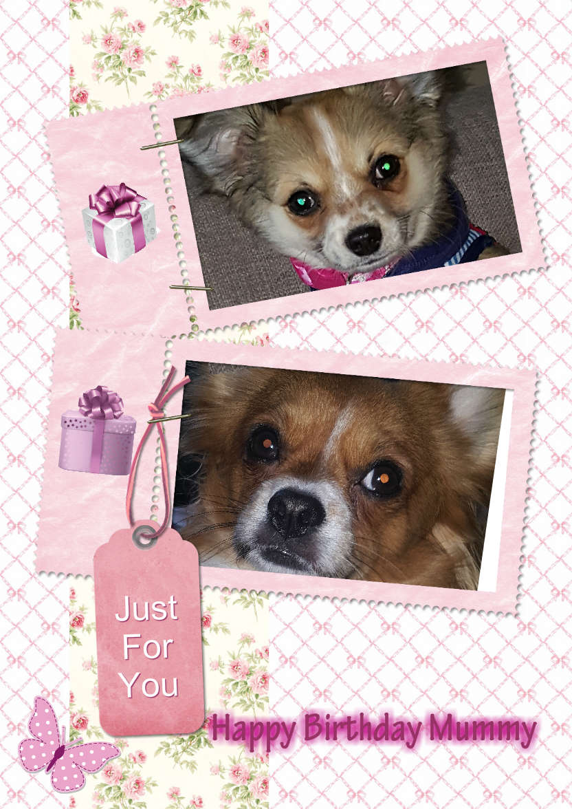 Stamp Style Frames Photo Card - card made with Crafty Bob's Card Creator