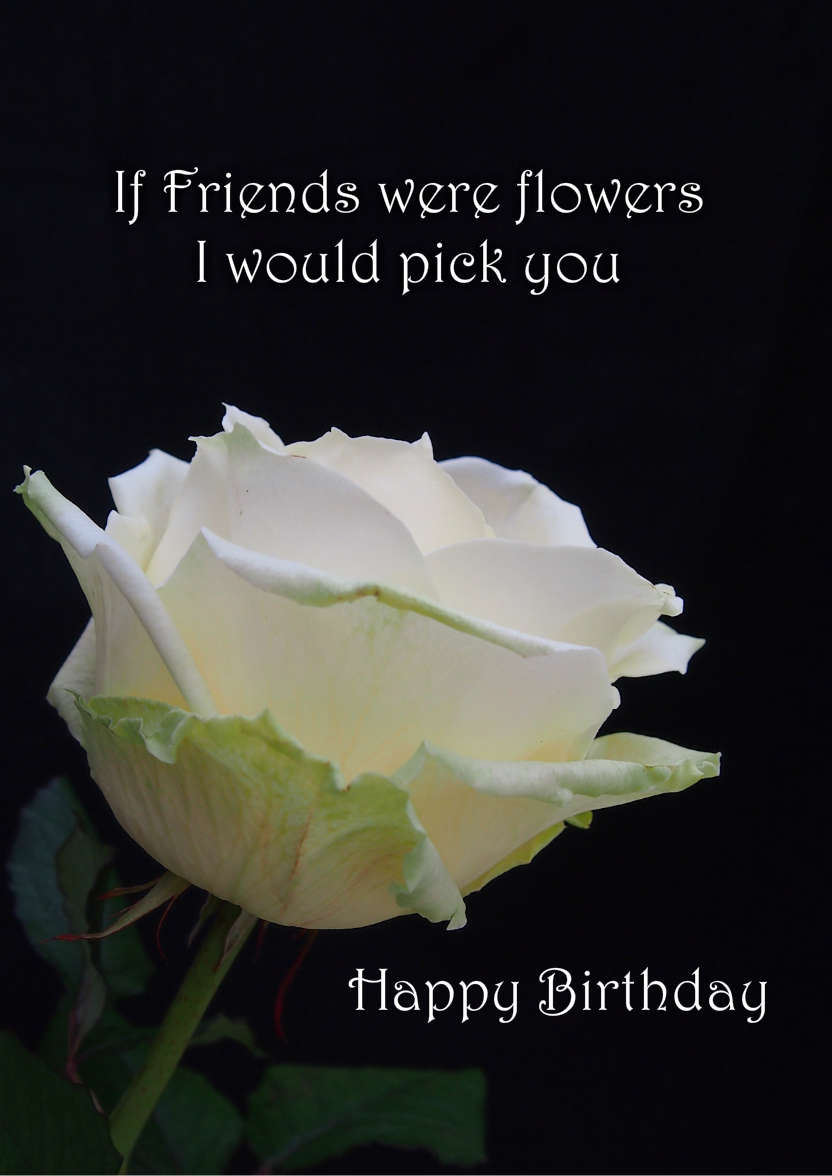 Simple Rose - card made with Crafty Bob's Card Creator