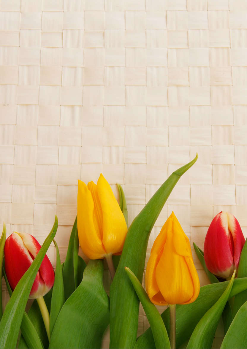 Godparents Day Tulip Border - card made with Crafty Bob's Card Creator