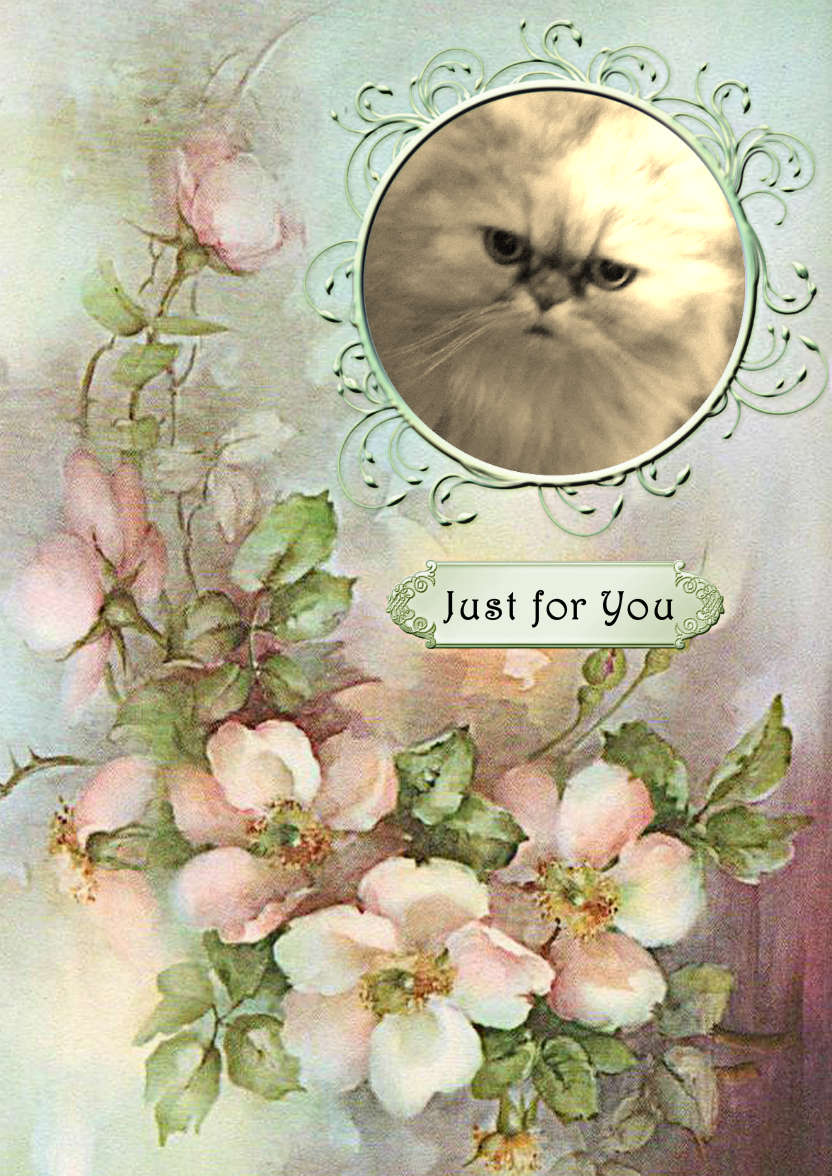 Wild Roses - card made with Crafty Bob's Card Creator