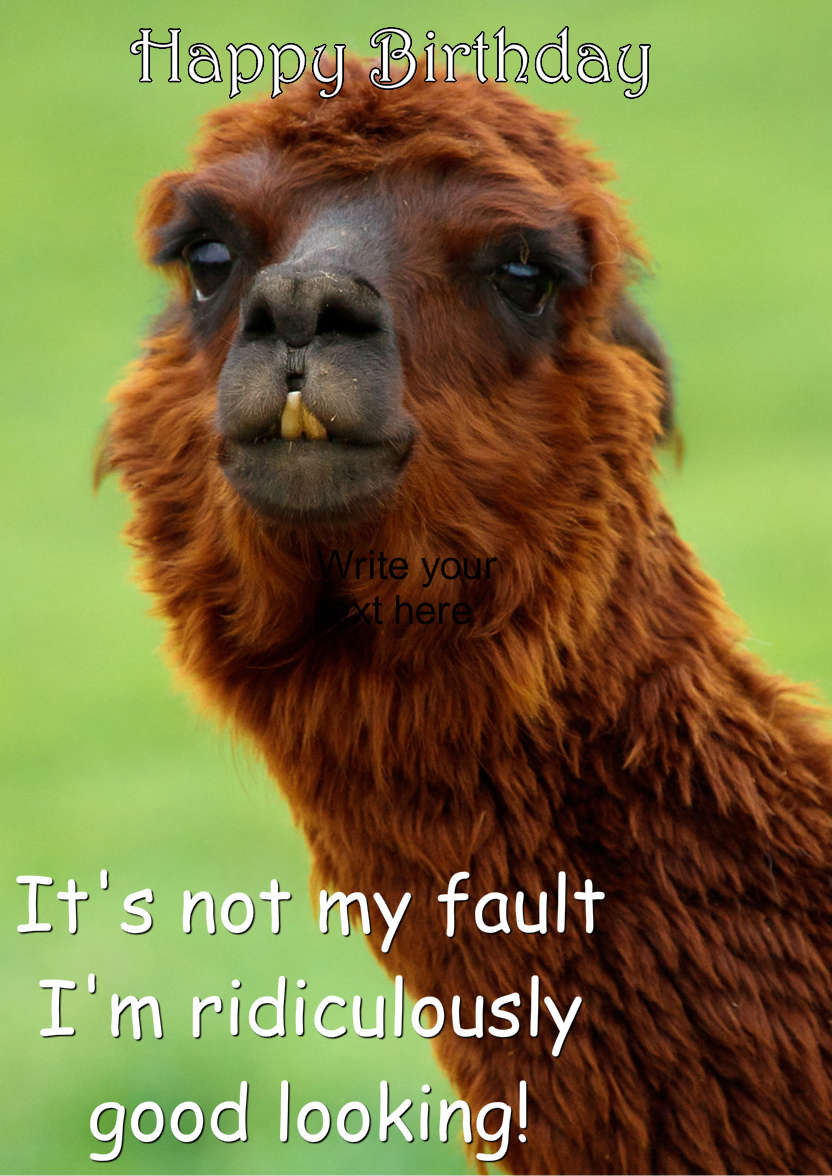 Charming Llama Humorous Card Front - card made with Crafty Bob's Card Creator