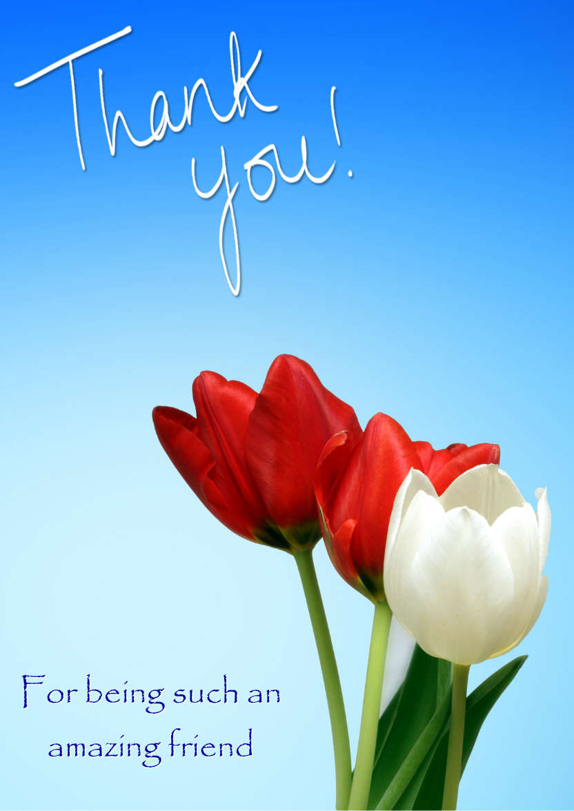 Thank You Tulips Card Front - card made with Crafty Bob's Card Creator
