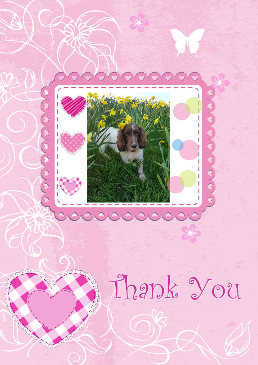 Pink Butterfly Background - card made with Crafty Bob's Card Creator