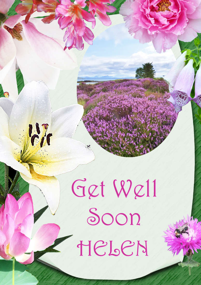 Floral Frame Get Well Soon Photo Card - card made with Crafty Bob's Card Creator