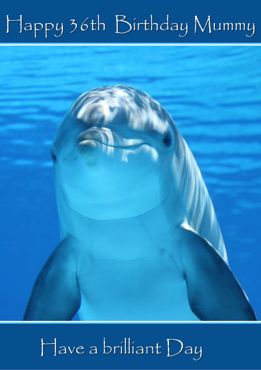 Delightful Dolphin - card made with Crafty Bob's Card Creator