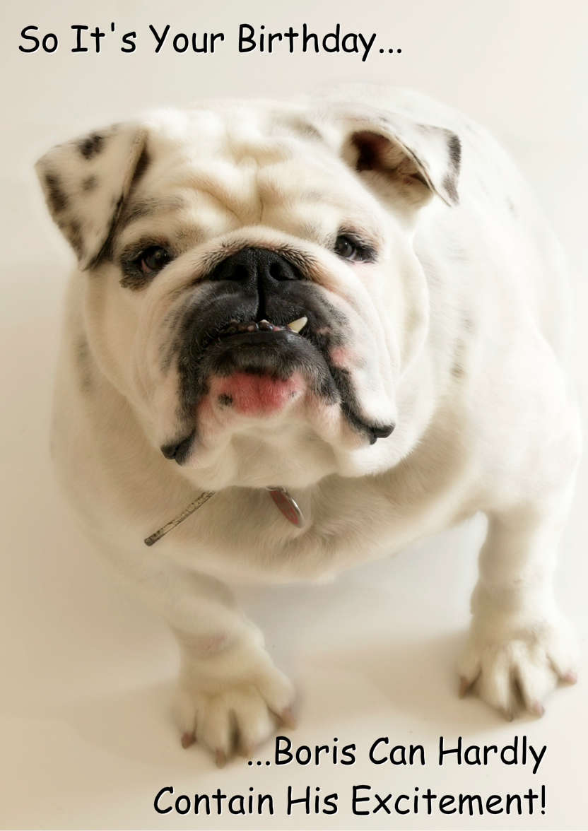 Excited Bulldog Card Front - card made with Crafty Bob's Card Creator