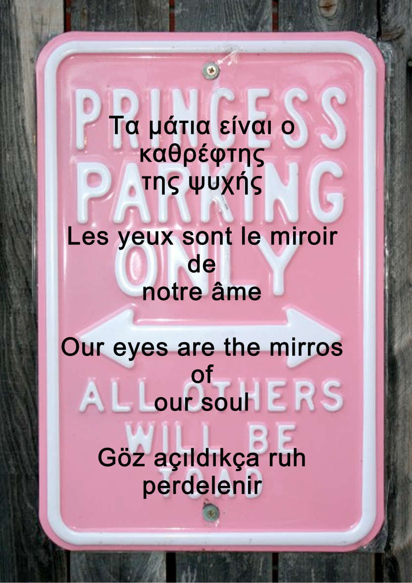 Princess Parking Humorous Card Front - card made with Crafty Bob's Card Creator