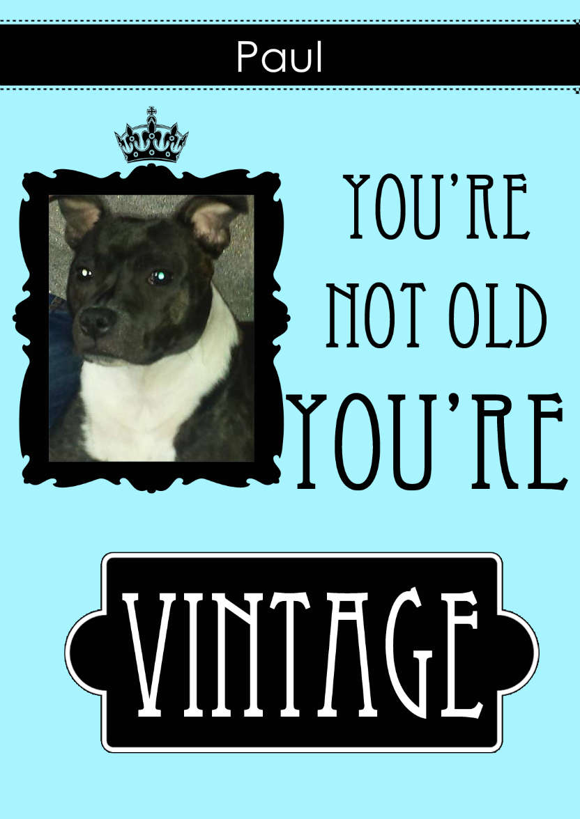 Not Old You're Vintage Aperture Card Front - card made with Crafty Bob's Card Creator