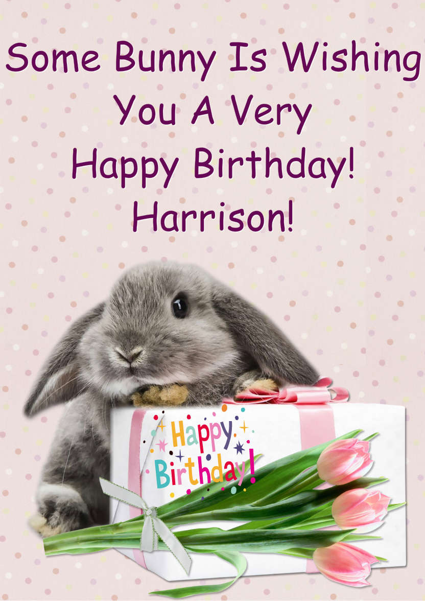 Some Bunny Birthday - card made with Crafty Bob's Card Creator