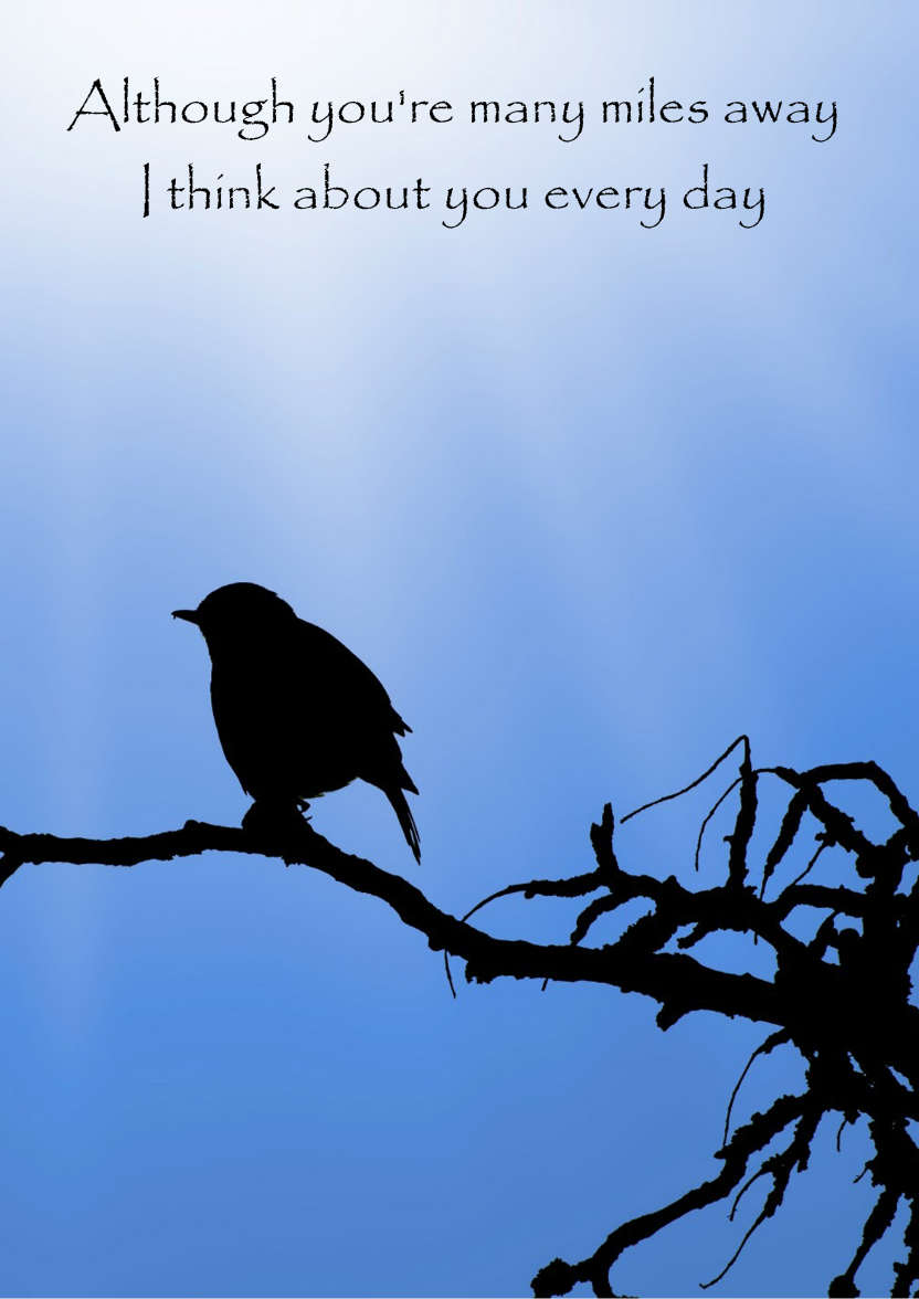 Silhouette Bird on a Branch - card made with Crafty Bob's Card Creator