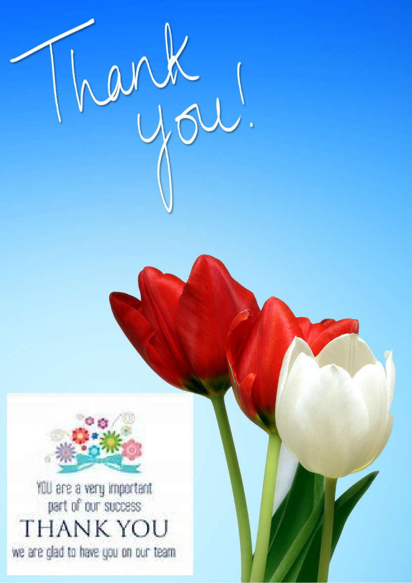 Thank You Tulips Card Front - card made with Crafty Bob's Card Creator