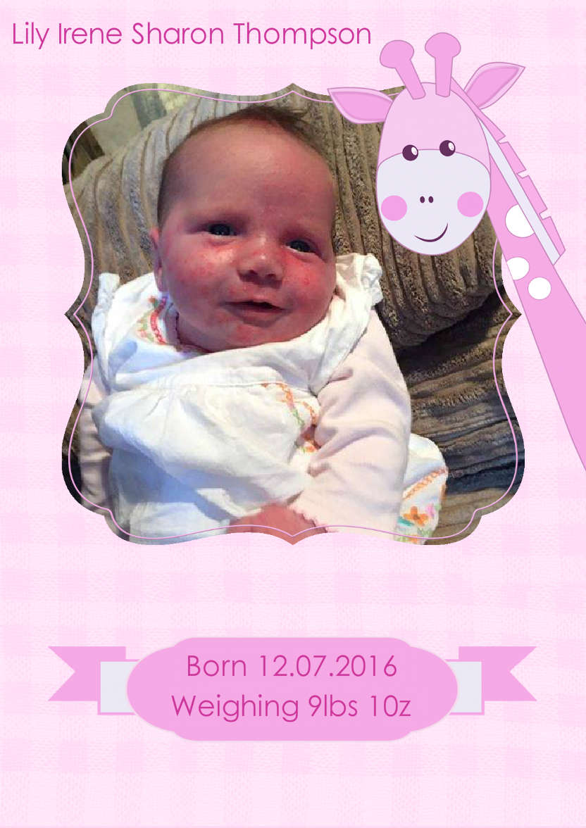 Baby Girl Giraffe Photo Card - card made with Crafty Bob's Card Creator