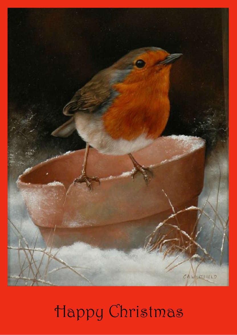 Red Plain Background - card made with Crafty Bob's Card Creator