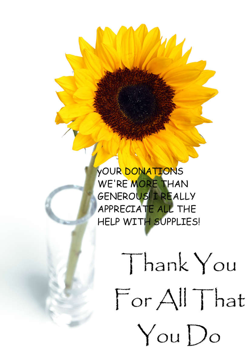 Solitary Sunflower Card Front - card made with Crafty Bob's Card Creator