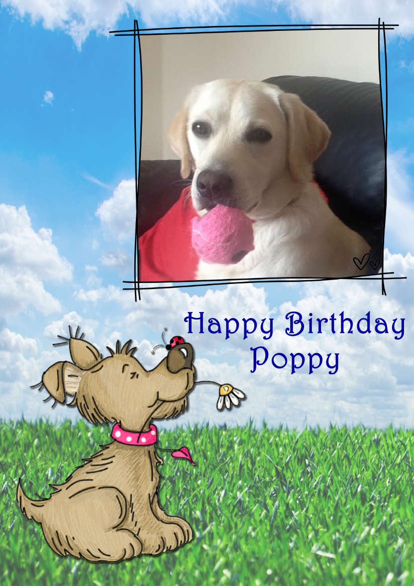 Bella's Flower - card made with Crafty Bob's Card Creator
