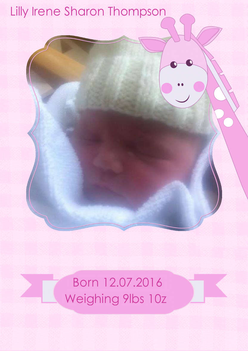 Baby Girl Giraffe Photo Card - card made with Crafty Bob's Card Creator