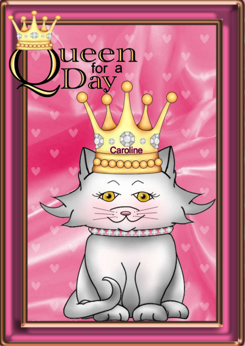 Queen for a Day Cat - card made with Crafty Bob's Card Creator
