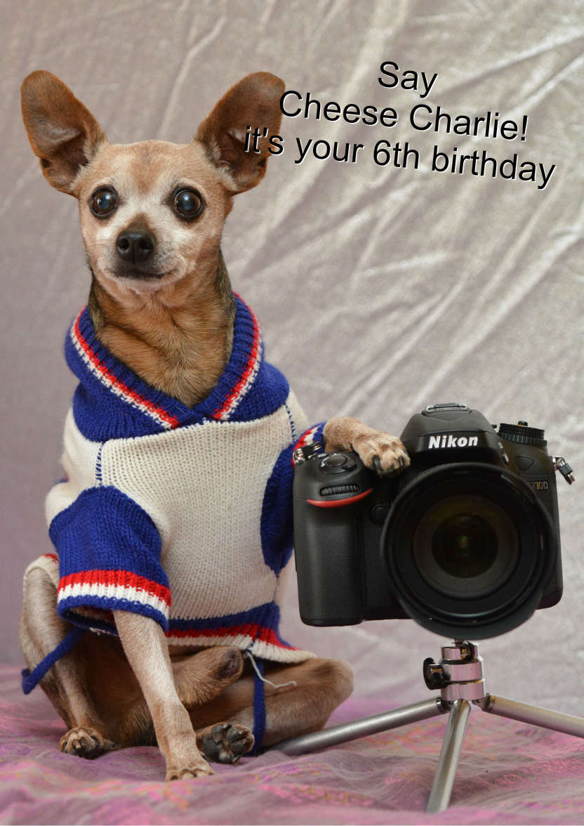Chihuahua Photographer Card - card made with Crafty Bob's Card Creator