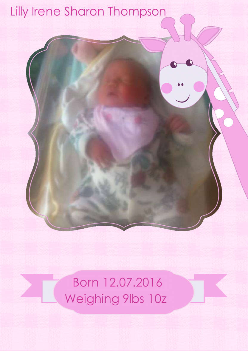 Baby Girl Giraffe Photo Card - card made with Crafty Bob's Card Creator