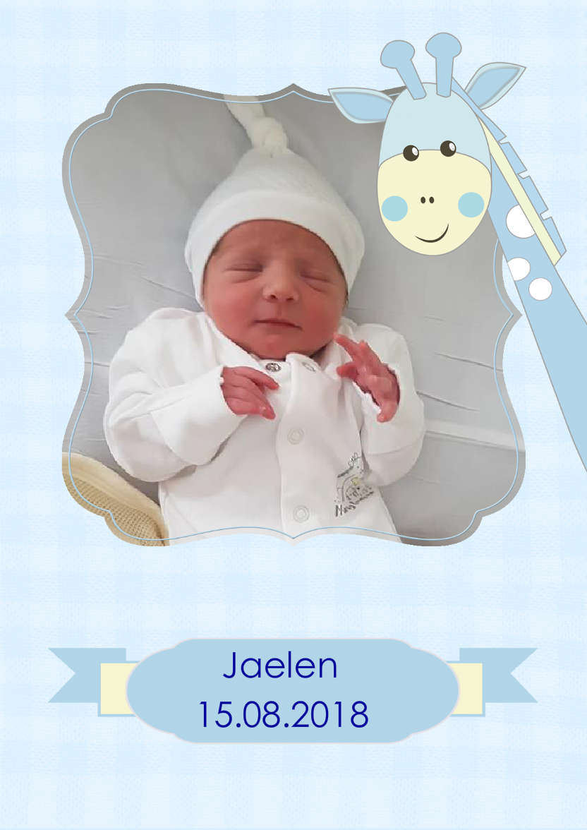 Baby Boy Giraffe Photo Card - card made with Crafty Bob's Card Creator