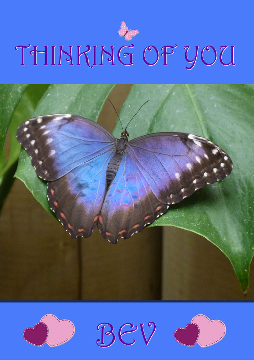 Dark Blue Plain Background - card made with Crafty Bob's Card Creator