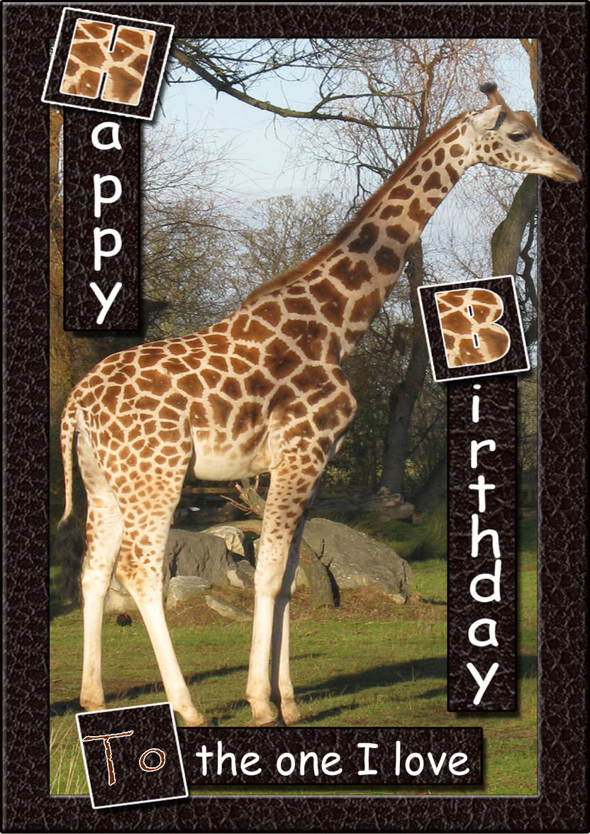 Birthday Giraffe - card made with Crafty Bob's Card Creator