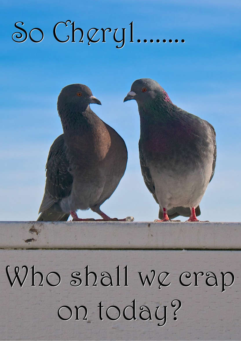 Pigeon Plans Humorous Card Front - card made with Crafty Bob's Card Creator