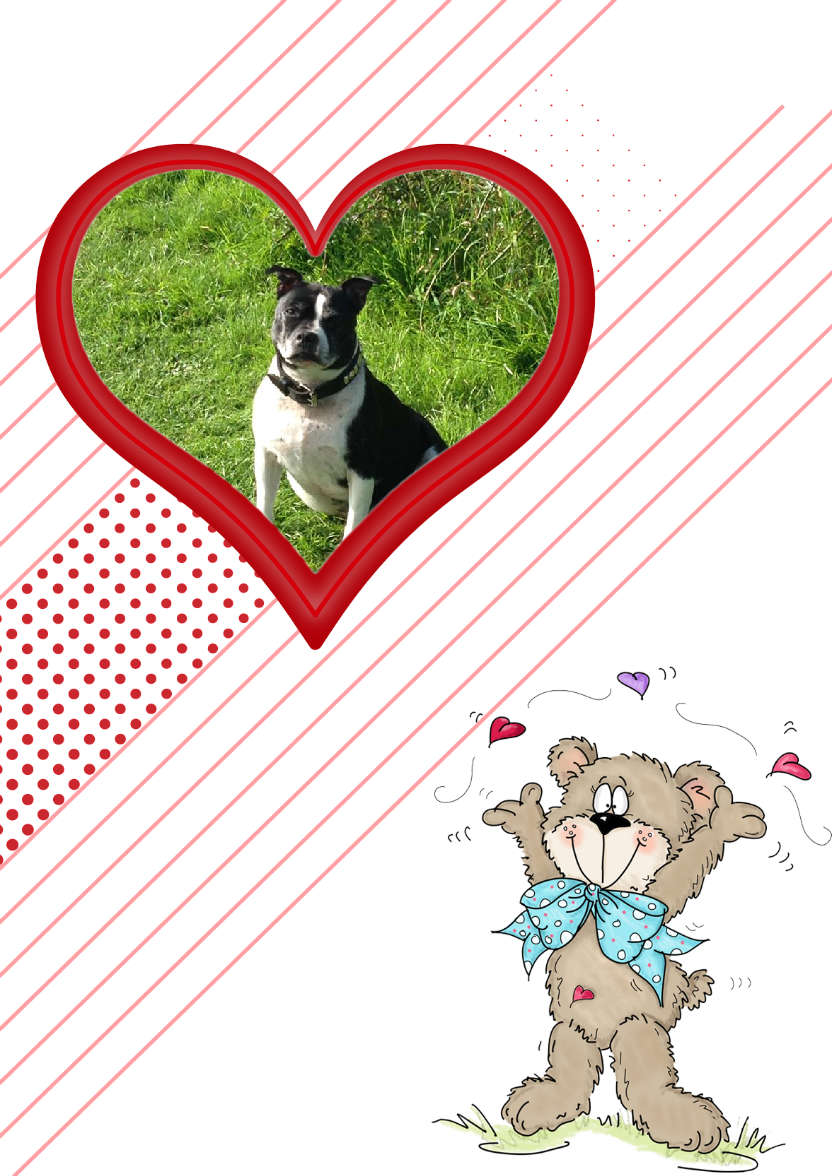 Bear Heart Aperture Card Front - card made with Crafty Bob's Card Creator