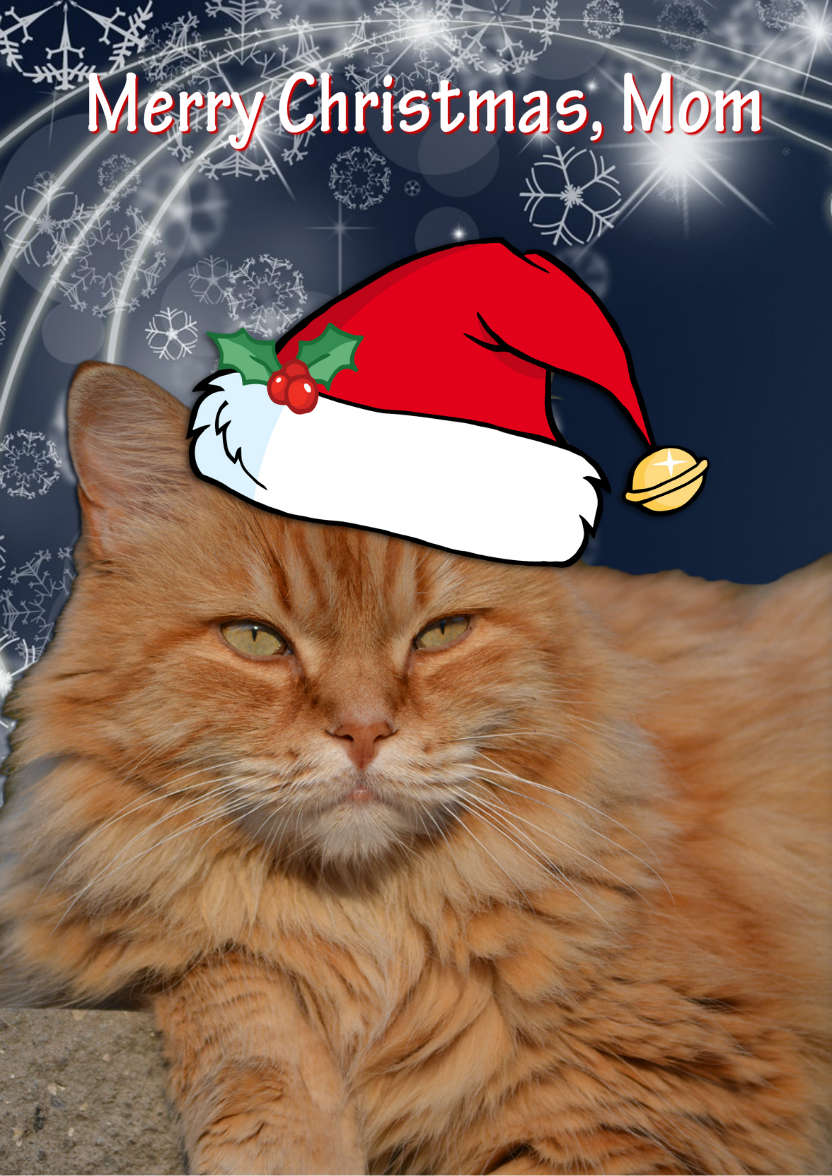 Christmas Cat - card made with Crafty Bob's Card Creator